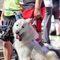ハイスクールの陸上…