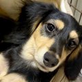 朝、外出するため『…