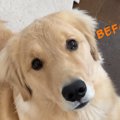目は口ほどに…感情が…