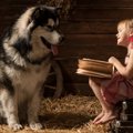 面倒見がいい犬ある…
