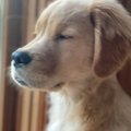 悟りを開いているか…