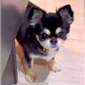 家事をしていたら、…