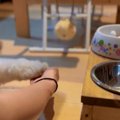 スーパーソフトタッ…