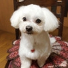 名前が分かるカワイ…