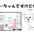 ちーちゃんですけど…
