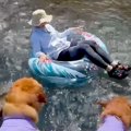 川で浮き輪に乗って…