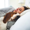 超カワイイ♡犬が飼い…