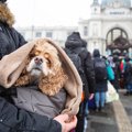 災害時に犬の命を守…