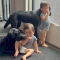 おやつを食べる2歳の…