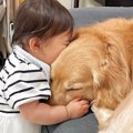大型犬と一緒に暮ら…