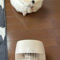 暑くなってきたので…