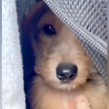 不安そうな表情をし…