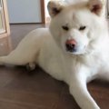 ここ涼しいじゃん！…