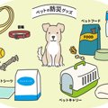 100均で備える『愛犬…