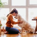『飼い主に従順な犬…