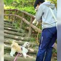 犬を抱っこしていた…