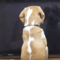 このイケメンは誰な…