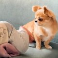 家の中を動き回れる…