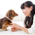 愛犬に最適な室温は何℃？適温を知って残暑を乗り切ろう！