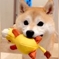 ぬいぐるみを買った…