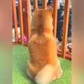 大好きなお兄ちゃん…
