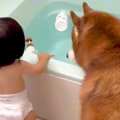 よちよち歩きの赤ち…
