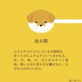 世代別『犬のかわいいところ』をまとめたイラストに共感の声続出！