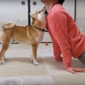 スパルタトレーナー…