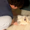 『眠すぎてお布団に…