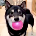 『どうやってんのｗ…