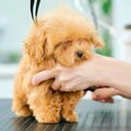 生まれて114日しか経…