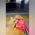 夏休み、普段は離れ…