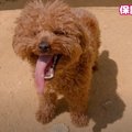 『２年間のネグレク…