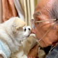 95歳で亡くなったお…