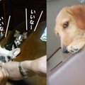 思わずにっこり！わ…