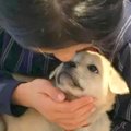 人間関係に疲れた９…