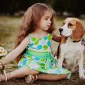 犬の脳！人間との違…