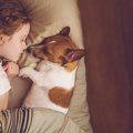 犬と一緒に寝るのはN…