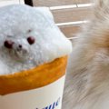 犬型の可愛いクレー…