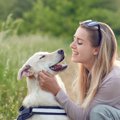 犬にとって「飼い主…