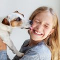 犬が『ペロペロ舐め…