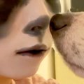 『犬と顔が似ている…