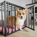 犬のハウスの『簡単…