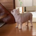 ママがいる二階に行…