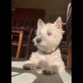 今にも寝落ちしそう……