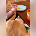 野菜を食べている1歳…