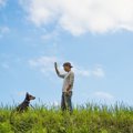 保護犬がなつかない…