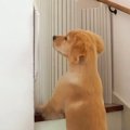 立ち入り禁止の2階に…