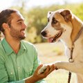 犬は『飼い主の表情…