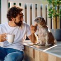 犬が飼い主に『遠慮…